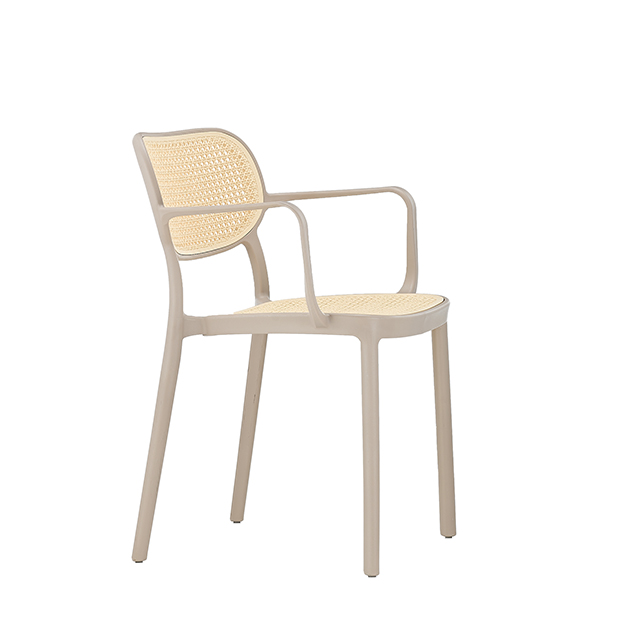餐椅 休闲椅
